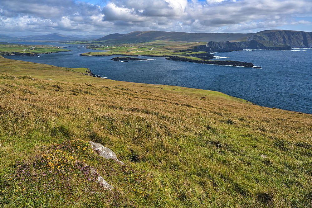 Valentia Island, County Kerry, Munster, Republic of Ireland, Europe