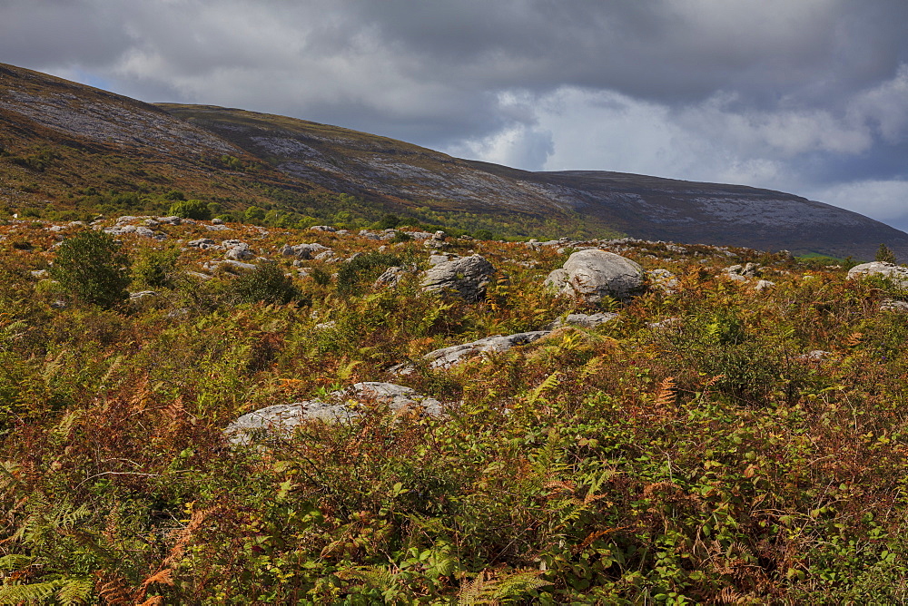 Slieve Elva, The Burren, County Clare, Munster, Republic of Ireland, Europe