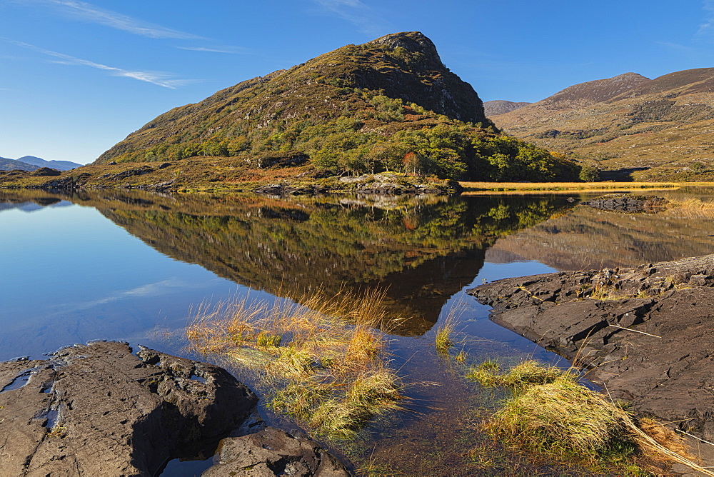 The Gearagh, County Cork, Munster, Republic of Ireland, Europe