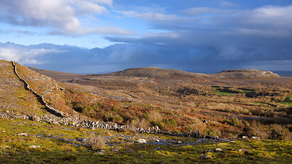 Fahee North, The Burren, County Clare, Munster, Republic of Ireland, Europe