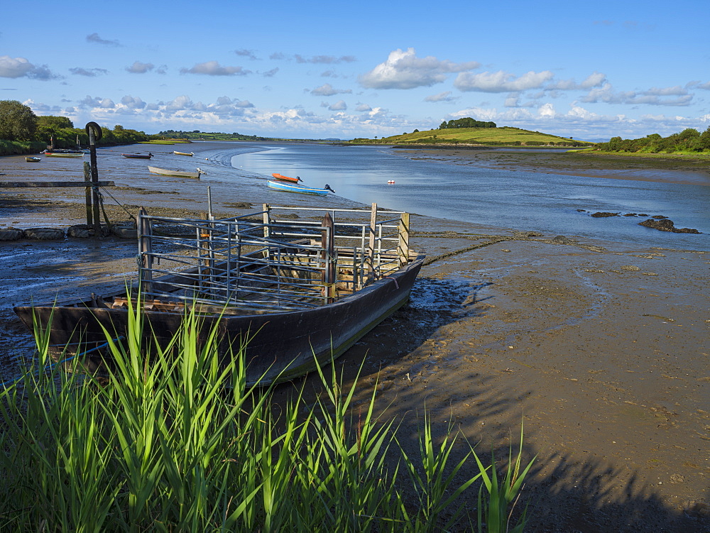 Fergus Estuary, County Clare, Munster, Republic of Ireland, Europe