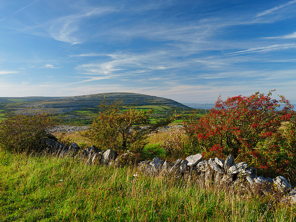 Cappanawalla, The Burren, County Clare, Munster, Republic of Ireland, Europe