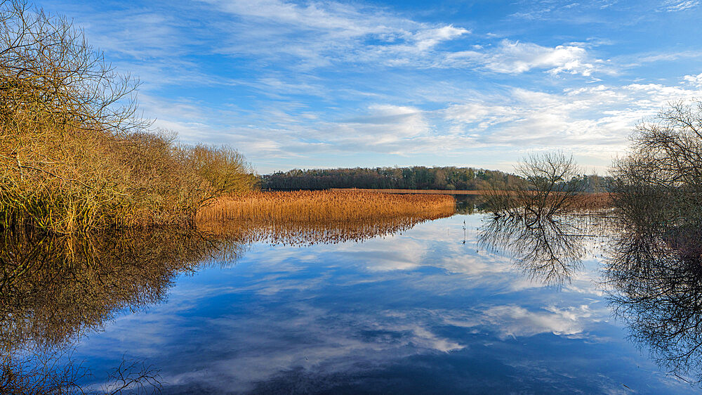 Dromore Nature Reserve, County Clare, Munster, Republic of Ireland, Europe