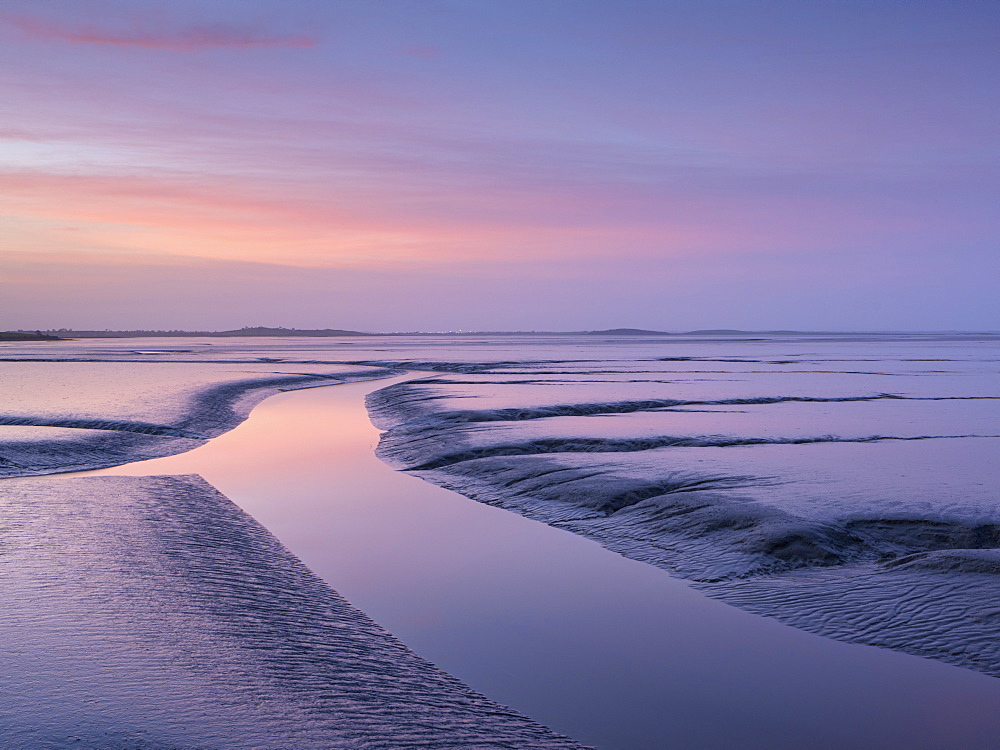 Fergus Estuary, County Clare, Munster, Republic of Ireland, Europe