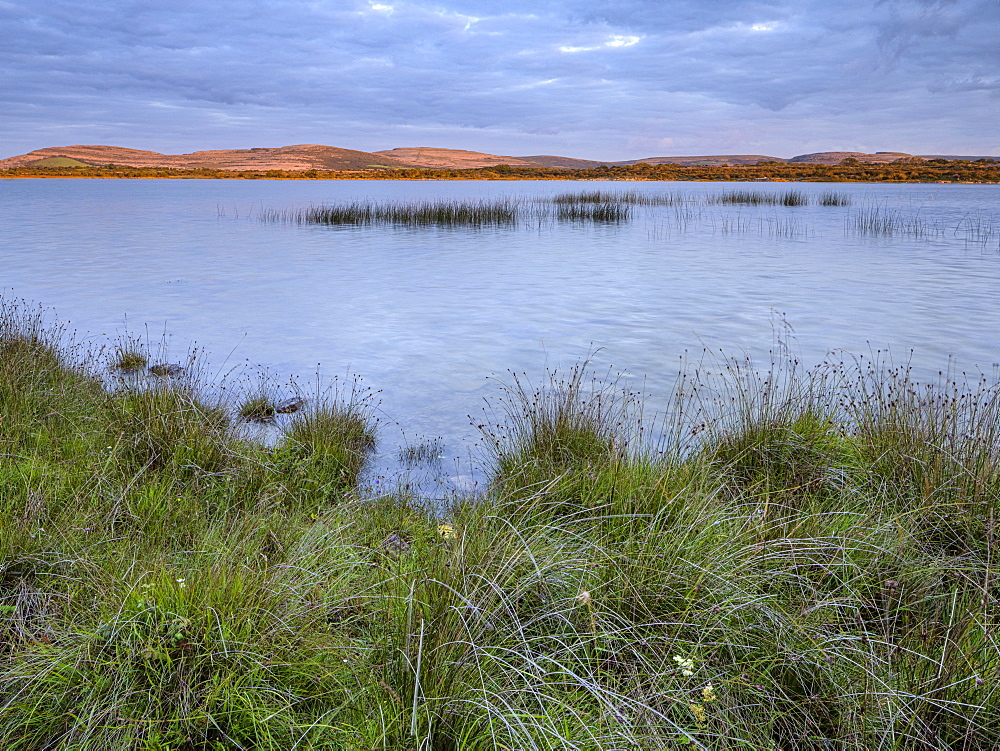 Lough Bunny, The Burren, County Clare, Munster, Republic of Ireland, Europe