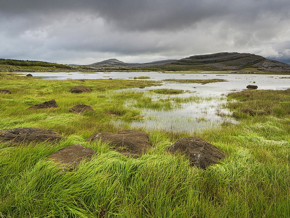 Mullagh More, Burren National Park, County Clare, Munster, Republic of Ireland, Europe