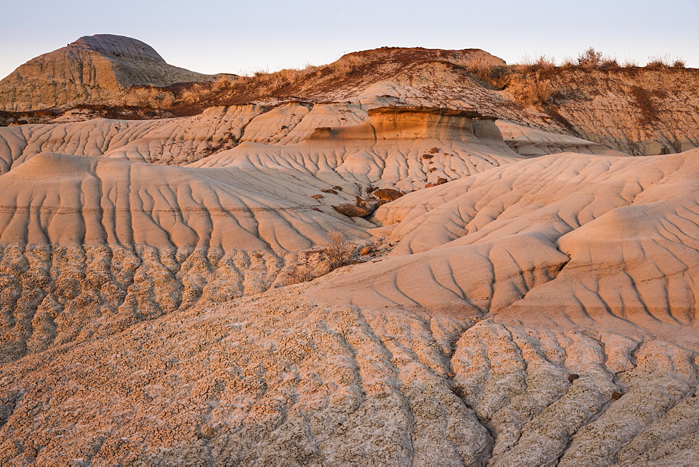 Rock formations and hoodoos in Dinosaur Provincial Park, UNESCO World Heritage Site, Alberta Badlands, Alberta, Canada, North America