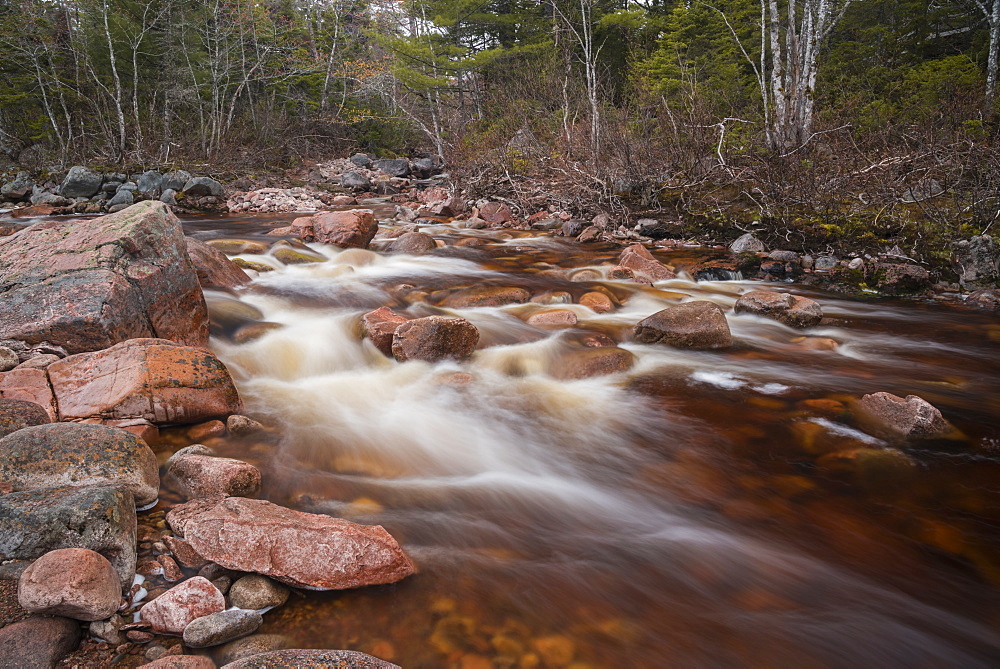 Creek flowing near Mary Ann Falls, Cape Breton Highlands National Park, Nova Scotia, Canada, North America