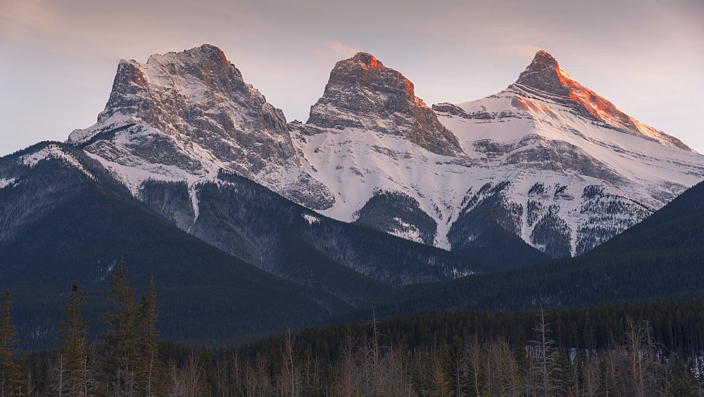 Evening light on the peaks of Three Sisters near Banff National Park, Canmore, Alberta, Canadian Rockies, Canada, North America