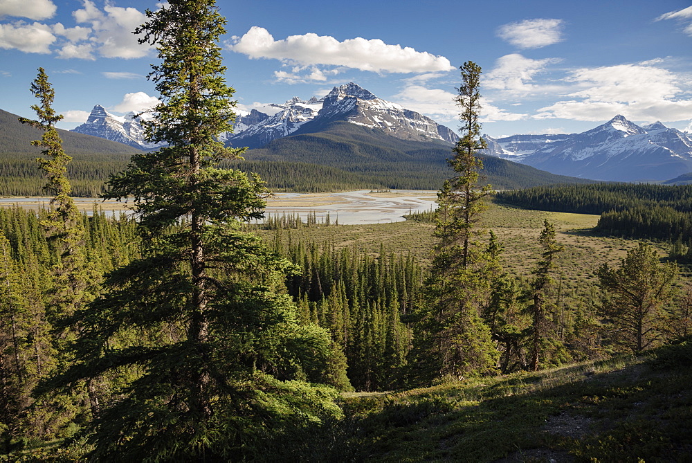 River Valley and Mount Sarback, Banff National Park, UNESCO World Heritage Site, Alberta, Canadian Rockies, Canada, North America