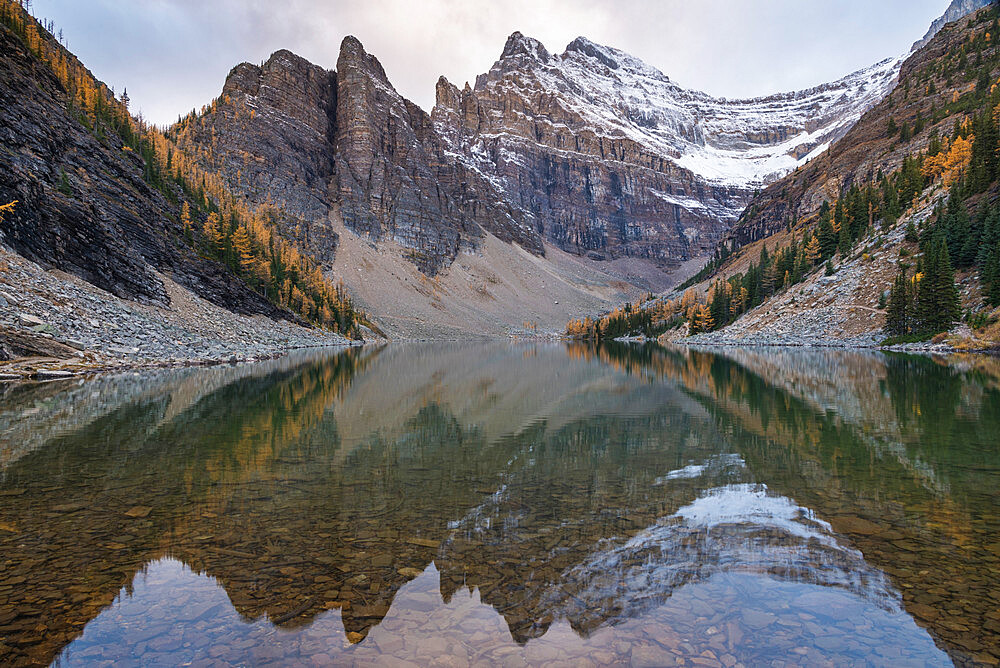 Mount Niblock and Mount Whyte at Lake Agnes with Autumn Larches, Banff National Park, UNESCO World Heritage Site, Alberta, Canadian Rockies, Canada, North America