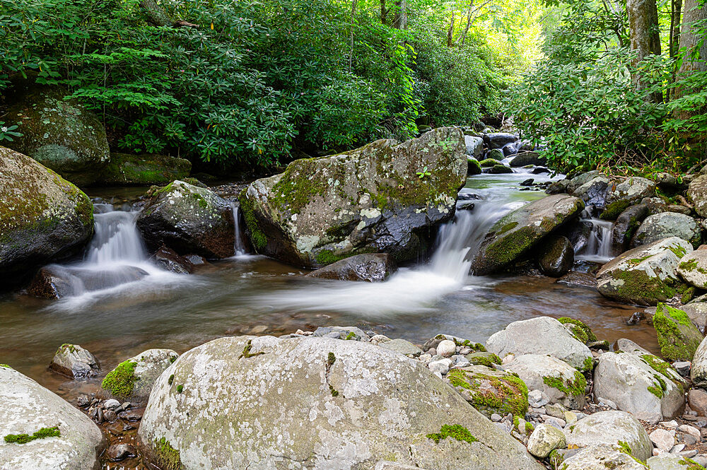 A calming mountain stream flows through dense summer forest, Blue Ridge Mountains, Appalachian Mountains, North Carolina, United States of America, North America