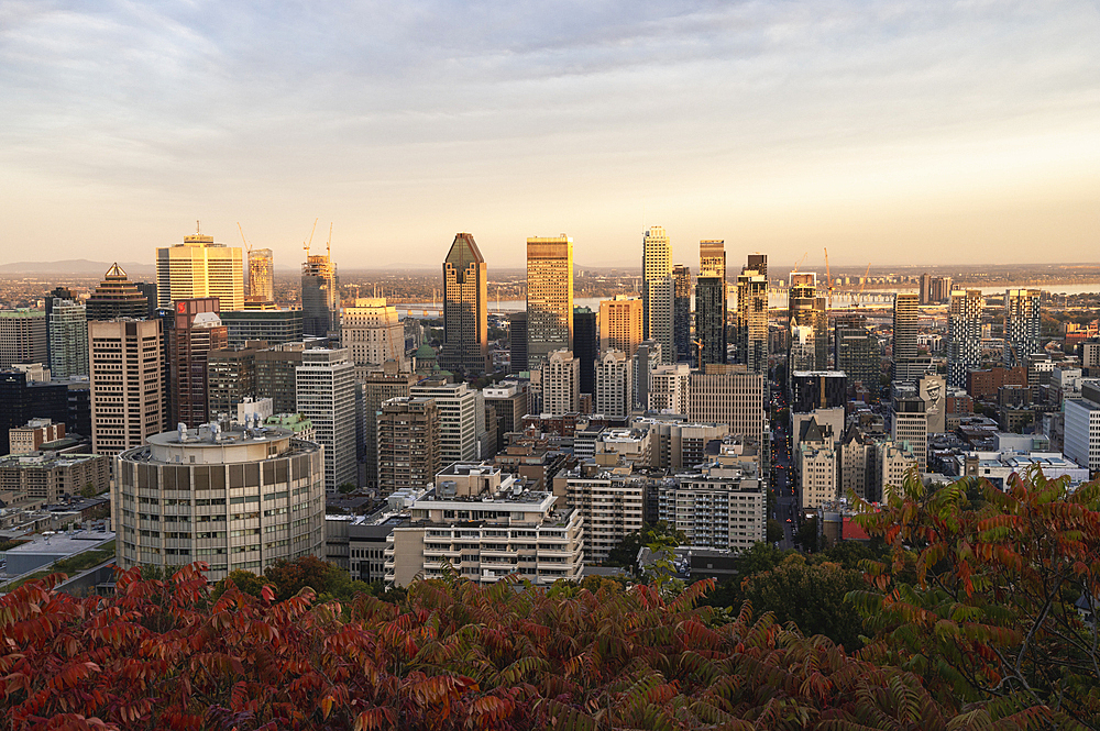 View of Montreal city skyline from Mont Royal Park in autumn at sunset, Montreal, Quebec, Canada, North America