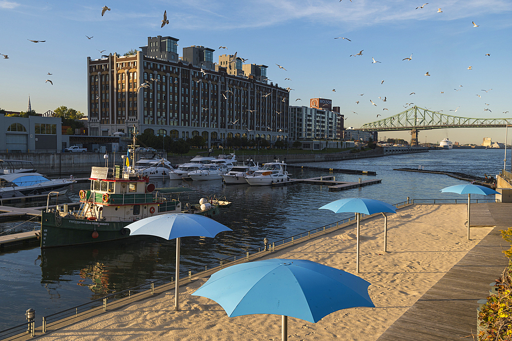 Marina and Sandy Beach with Molsen Building, Montreal, Quebec, Canada, North America