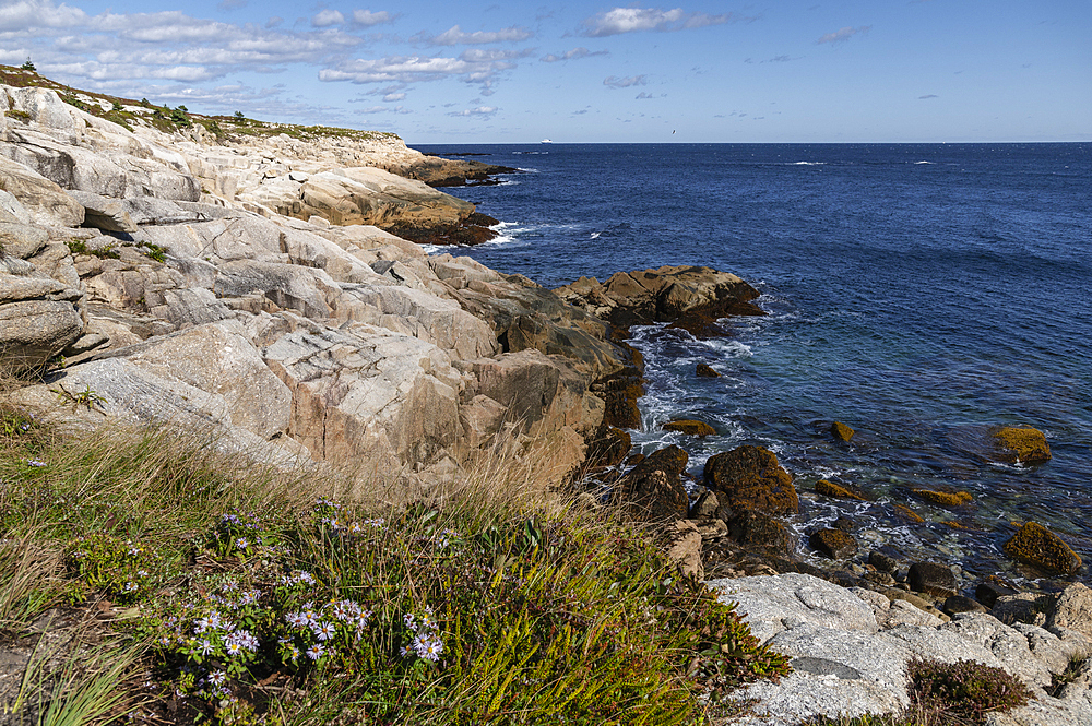 Rocky Shoreline at Duncan's Cove Nature Reserve, Nova Scotia, Canada