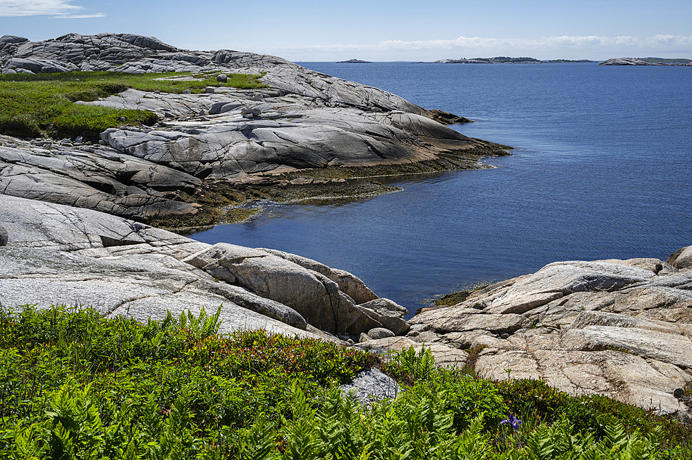 Rocky Coastline by the Atlantic Ocean, Dr. Bill Freedman Nature Preserve, Nature Conservancy of Canada, Nova Scotia, Canada, North America