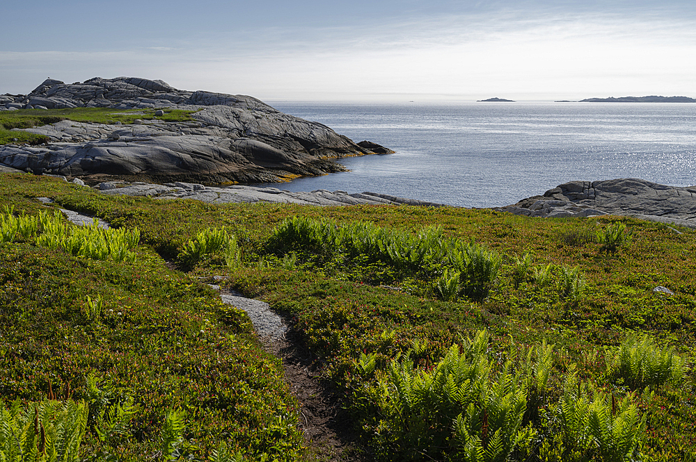 Rocky Coastline by the Atlantic Ocean, Dr. Bill Freedman Nature Preserve, Nature Conservancy of Canada, Nova Scotia, Canada, North America