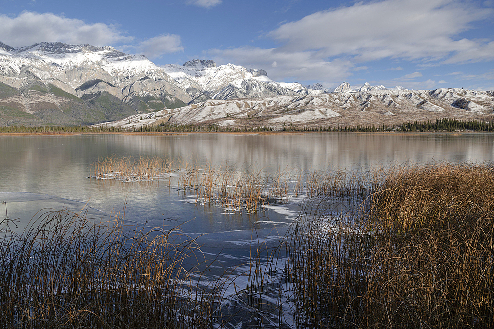 Talbot Lake, Jasper National Park, UNESCO World Heritage Site, Alberta, Canadian Rockies, Canada, North America