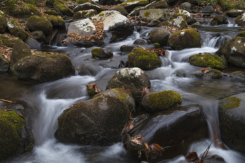 Roaring Creek waterfalls, Appalachian Trail, Blue Ridge Mountains, North Carolina, United States of America, North America