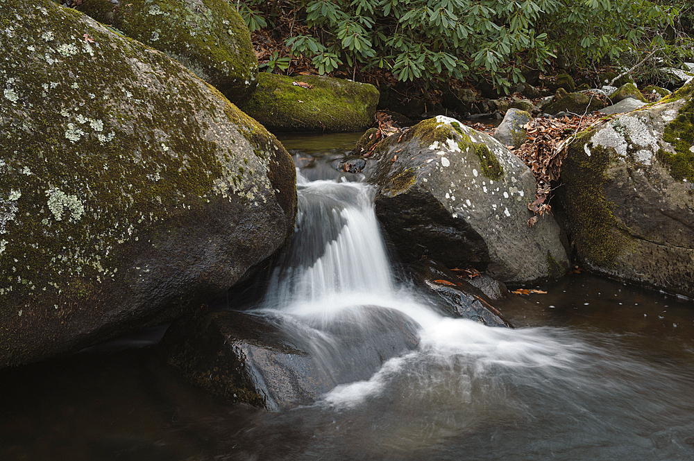 Roaring Creek waterfalls, Appalachian Trail, Blue Ridge Mountains, North Carolina, United States of America, North America