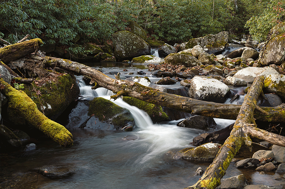 Roaring Creek waterfalls, Appalachian Trail, Blue Ridge Mountains, North Carolina, United States of America, North America