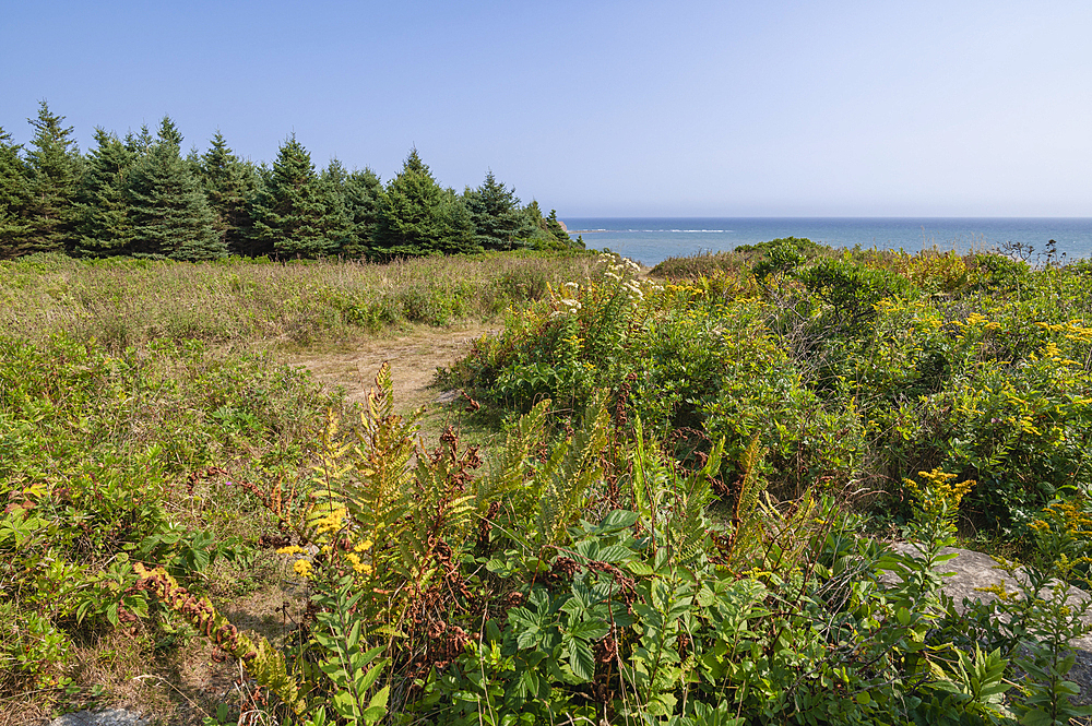 Lawrencetown Provincial Park, Nova Scotia, Canada