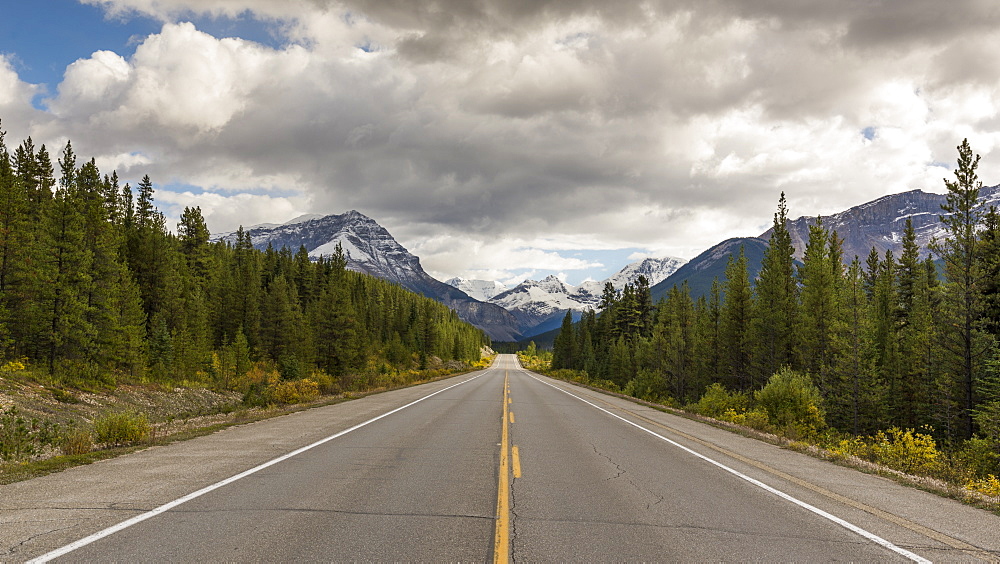 Icefields Parkway leading toward the Canadian Rocky Mountains, Jasper National Park, UNESCO World Heritage Site, Canadian Rockies, Alberta, Canada, North America