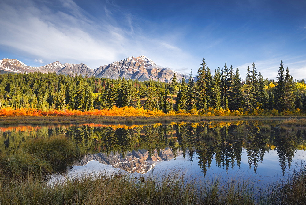 Pyramid Mountain reflected in a lake with autumn colour, Jasper National Park, UNESCO World Heritage Site, Canadian Rockies, Alberta, Canada, North America