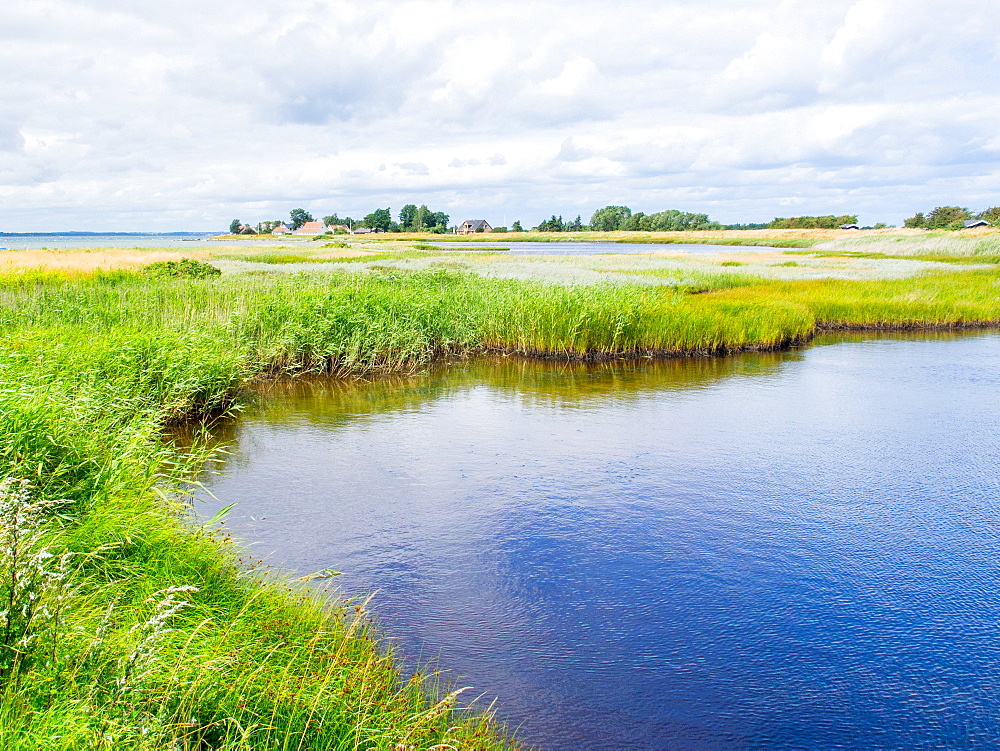 Danish seaside landscape, Aaro, Jutland, Denmark, Europe