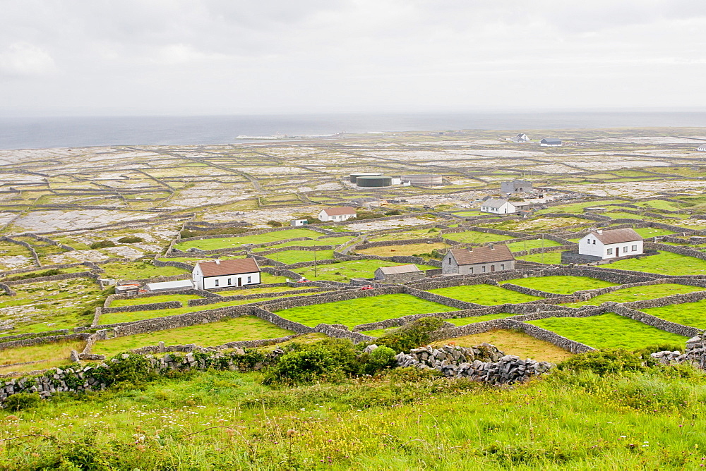 Bleak flat landscape of stone-walled farms, Inishmaan, Aran Islands, County Galway, Connacht, Republic of Ireland, Europe