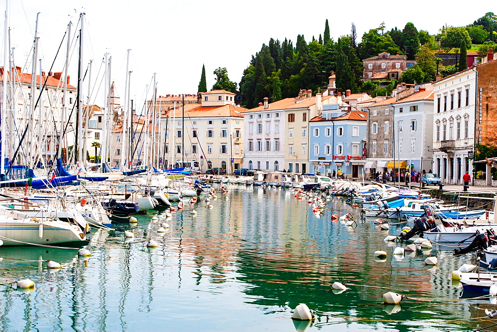 Historic harbor with boats, Piran, Slovenia, Europe