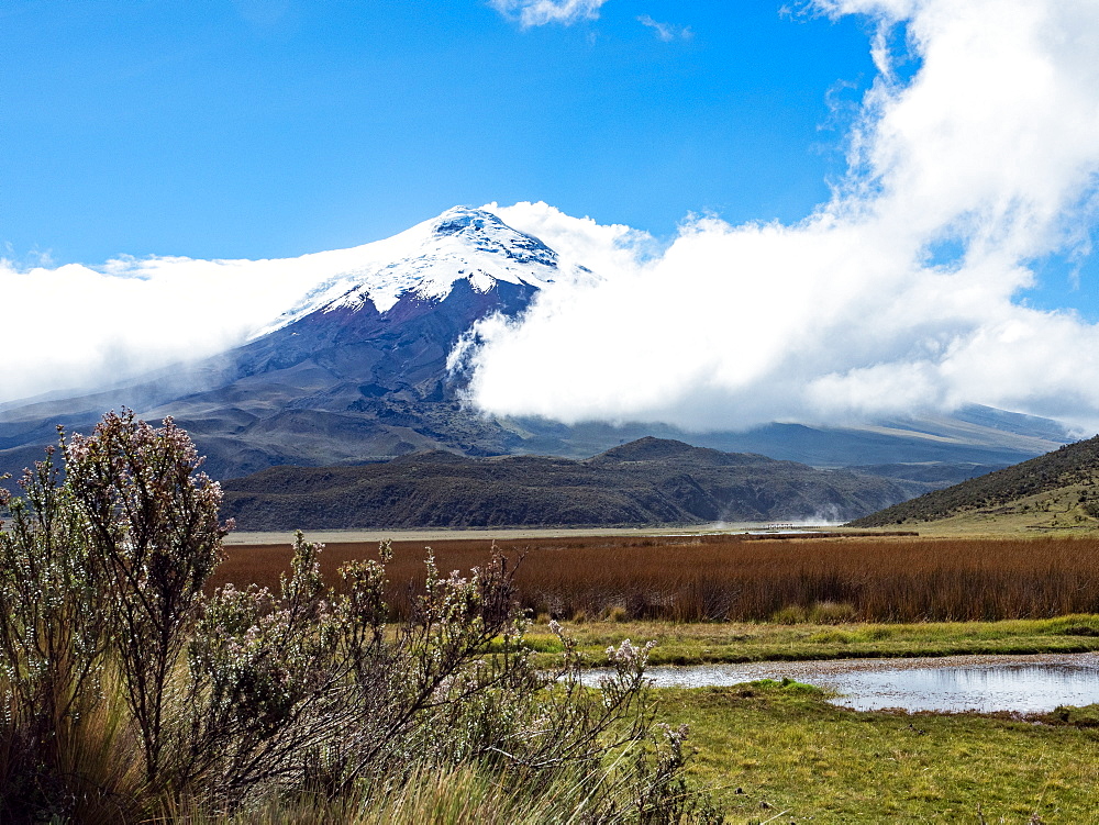 Limpiopungo lake and Cotopaxi volcano, Cotopaxi National Park, Andes mountains, Ecuador, South America