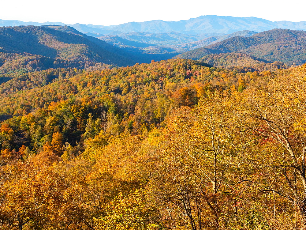 Autumn view of the mountains from the Blue Ridge Parkway, Appalachia, North Carolina, United States of America, North America