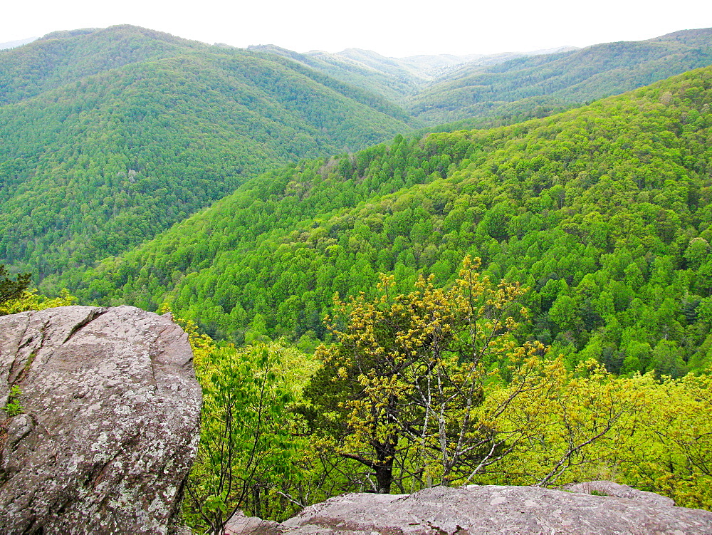 View of Blue Ridge Mountains, North Carolina, United States of America, North America