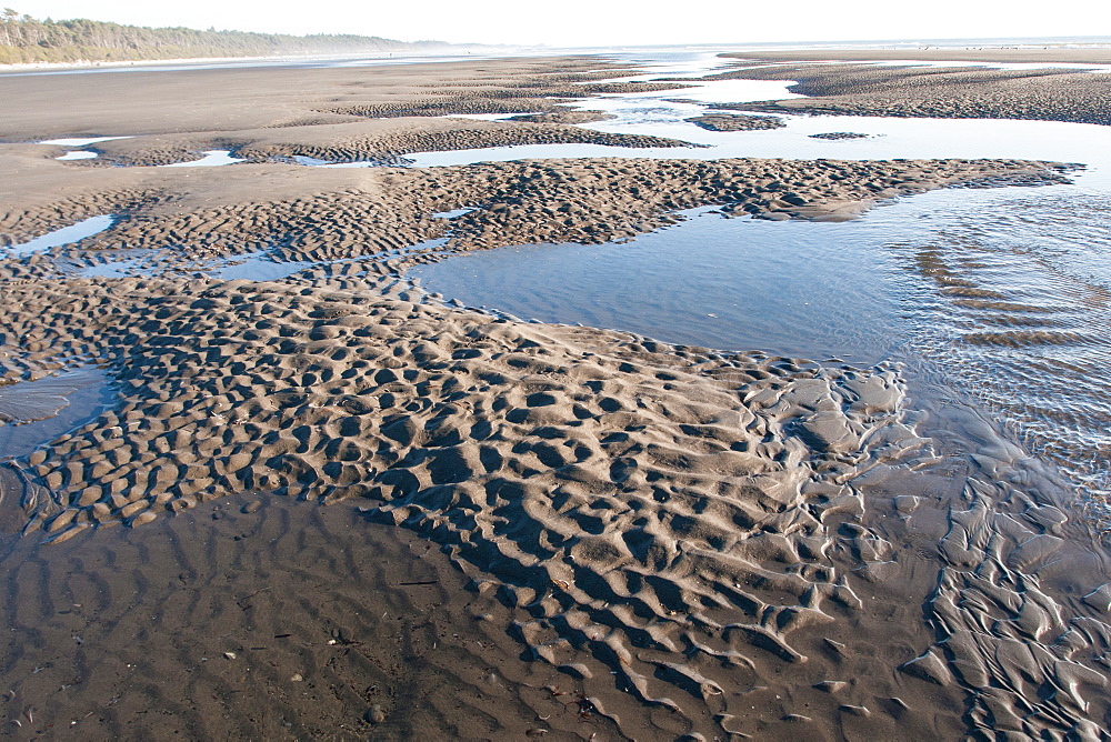 Pacific coast beach, Olympic National Park, UNESCO World Heritage Site, Washington State, United States of America, North America