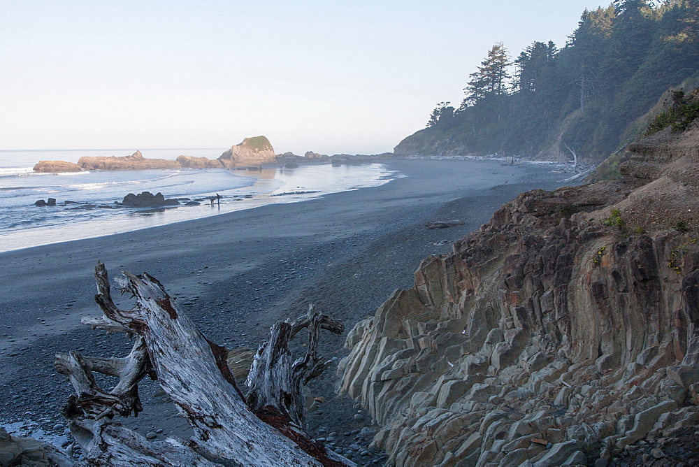 Pacific coast beach, Olympic National Park, UNESCO World Heritage Site, Washington State, United States of America, North America