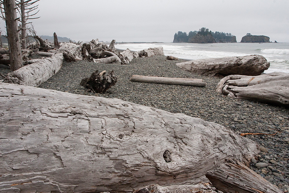 Driftwood logs, Pacific coast beach, Olympic National Park, UNESCO World Heritage Site, Washington State, United States of America, North America