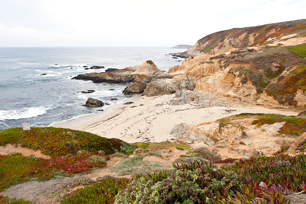 Bodega Head, Sonoma Coast, California, United States of America, North America