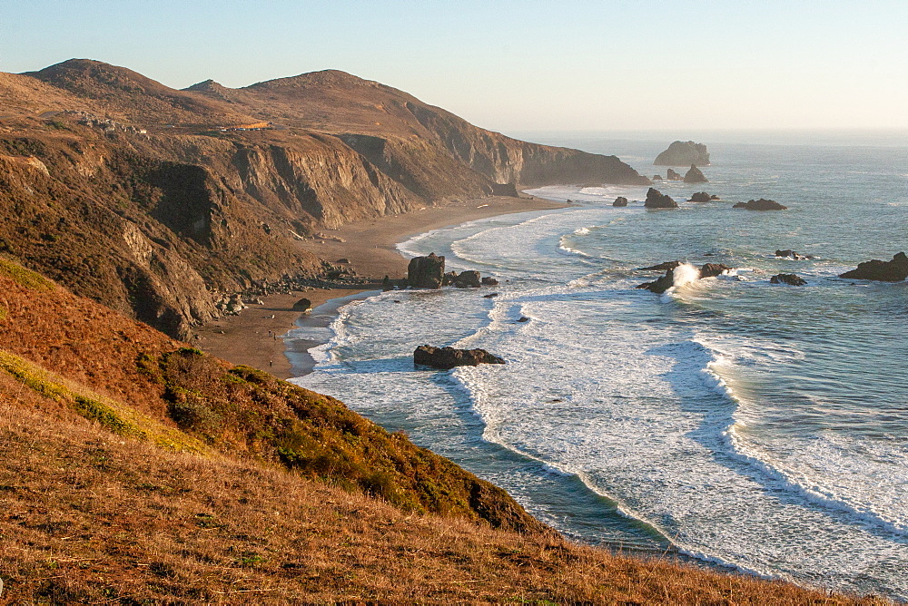 Goat Rock Beach, near Jenner, California, United States of America, North America