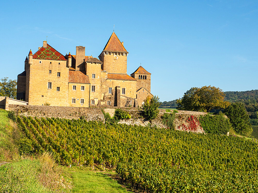 The Pierreclos Chateau and winery near Macon, Saone-et-Loire, Burgundy, France, Europe