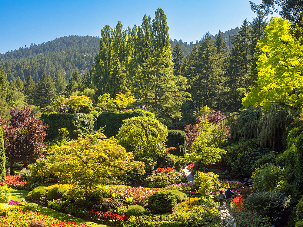 Butchart Gardens, Victoria, Vancouver Island, British Columbia, Canada, North America