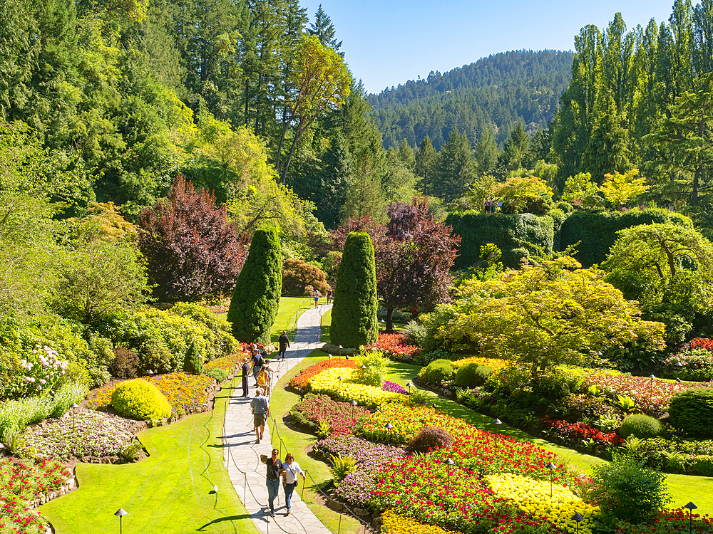 The Sunken Garden at Victoria's Butchart Gardens, planted in a former limestone quarry, starting in 1904, Victoria, Vancouver Island, British Columbia, Canada, North America