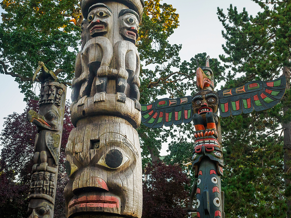 First Nations totem poles, Thunderbird Park, Vancouver Island, next to the Royal British Columbia Museum, Victoria, British Columbia, Canada, North America