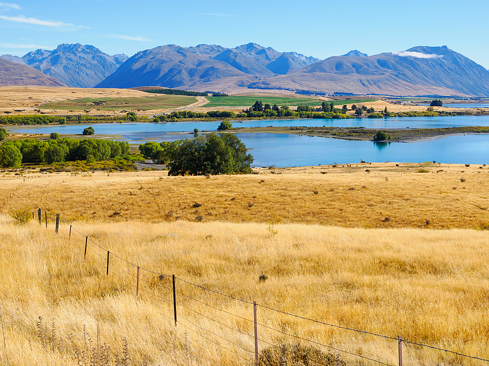 The grassy rangelands and brown hills around Lake Tekapo, Canterbury Region, South Island, New Zealand, Pacific