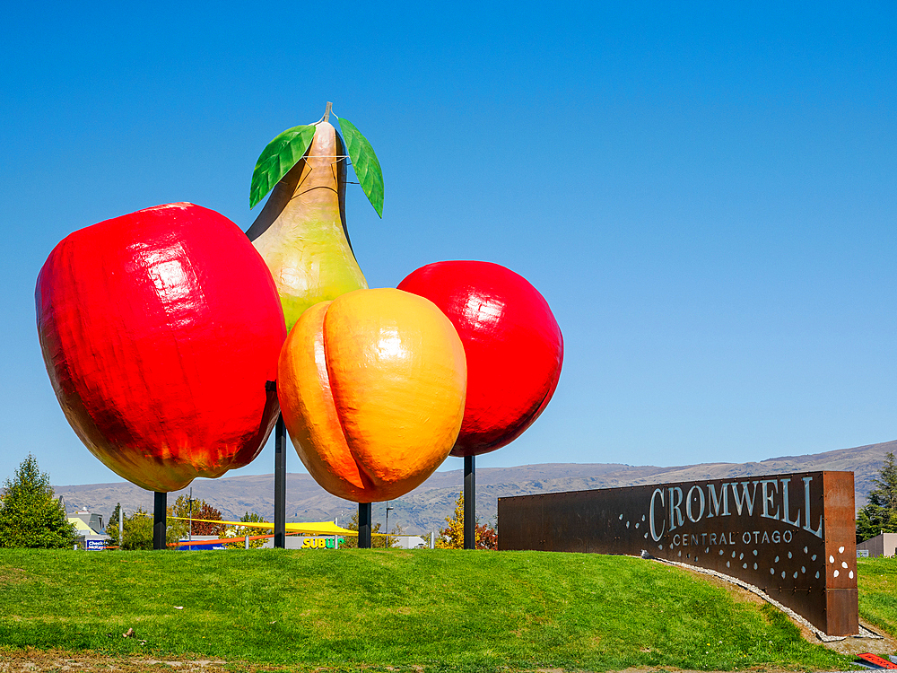 Giant fruit in Cromwell, a small town in the middle of a region of orchards and vineyards, Cromwell, Otago, South Island, New Zealand, Pacific