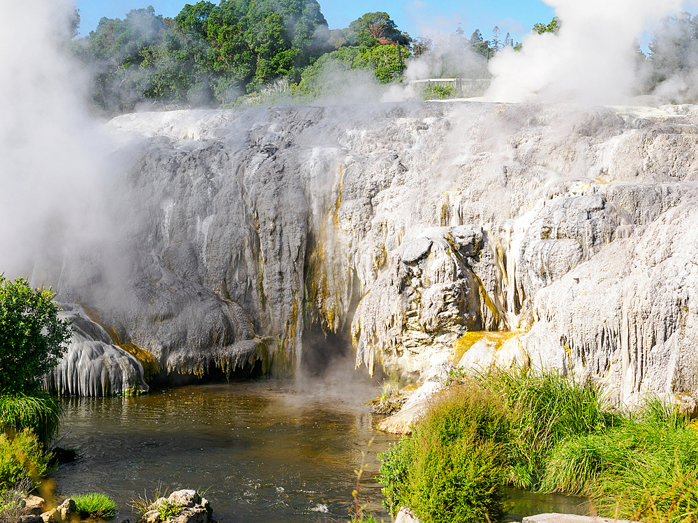 Mineral deposits from geothermal steam vents at Te Puia, Gisborne District, North Island, New Zealand, Pacific