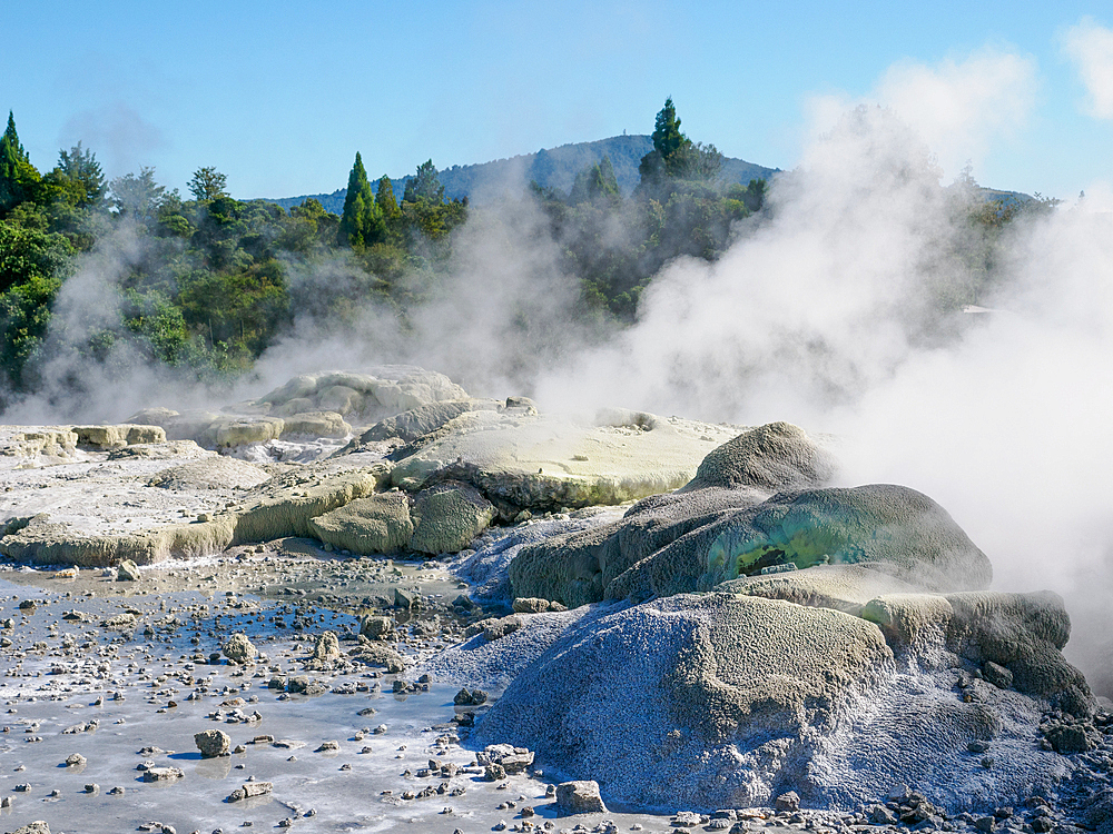 Sulfurous vents in the geothermal area of Te Puia, Gisborne District, North Island, New Zealand, Pacific