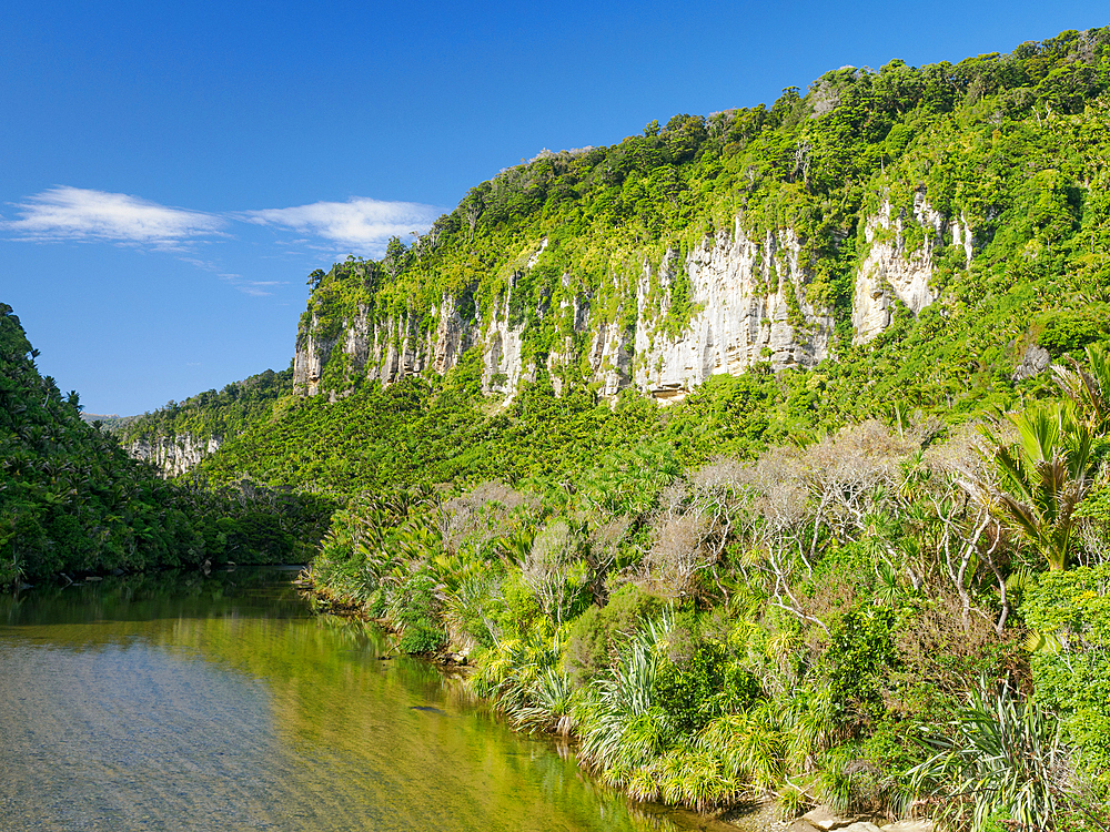 Pororari River, West Coast, South Island, New Zealand, Pacific