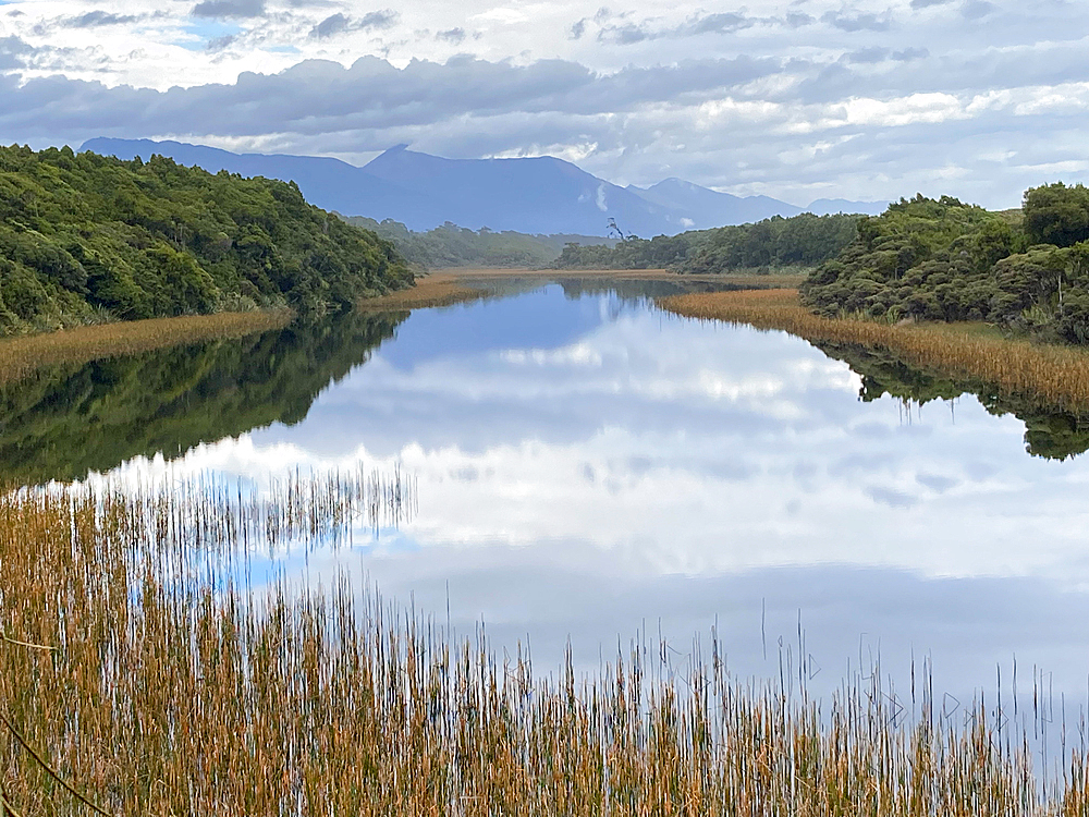 Dune Lake near Haast, West Coast, South Island, New Zealand, Pacific