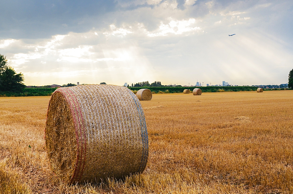 Bundles of hay, with dramatic rays of light, on the outskirts of Milan, Lombardy, Italy, Europe